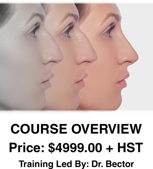 Nose Filler Course Overview